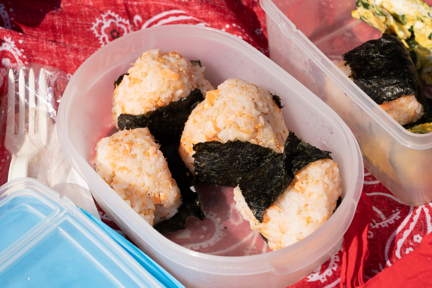 第6回 公園で一緒に食べた、海山さん一家のしゃけおにぎり
